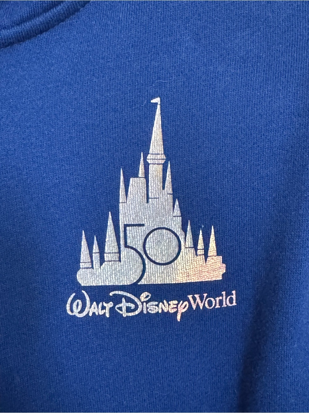 Walt Disney World 50th - Picture 2 of 6